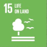 Sustainable Development Goals Isle of Wight